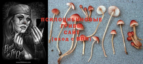 прущая мука Абдулино