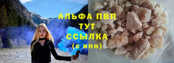 мяу мяу мука Абаза