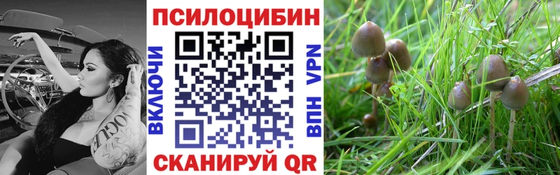 Галлюциногенные грибы мухоморы  Абдулино 